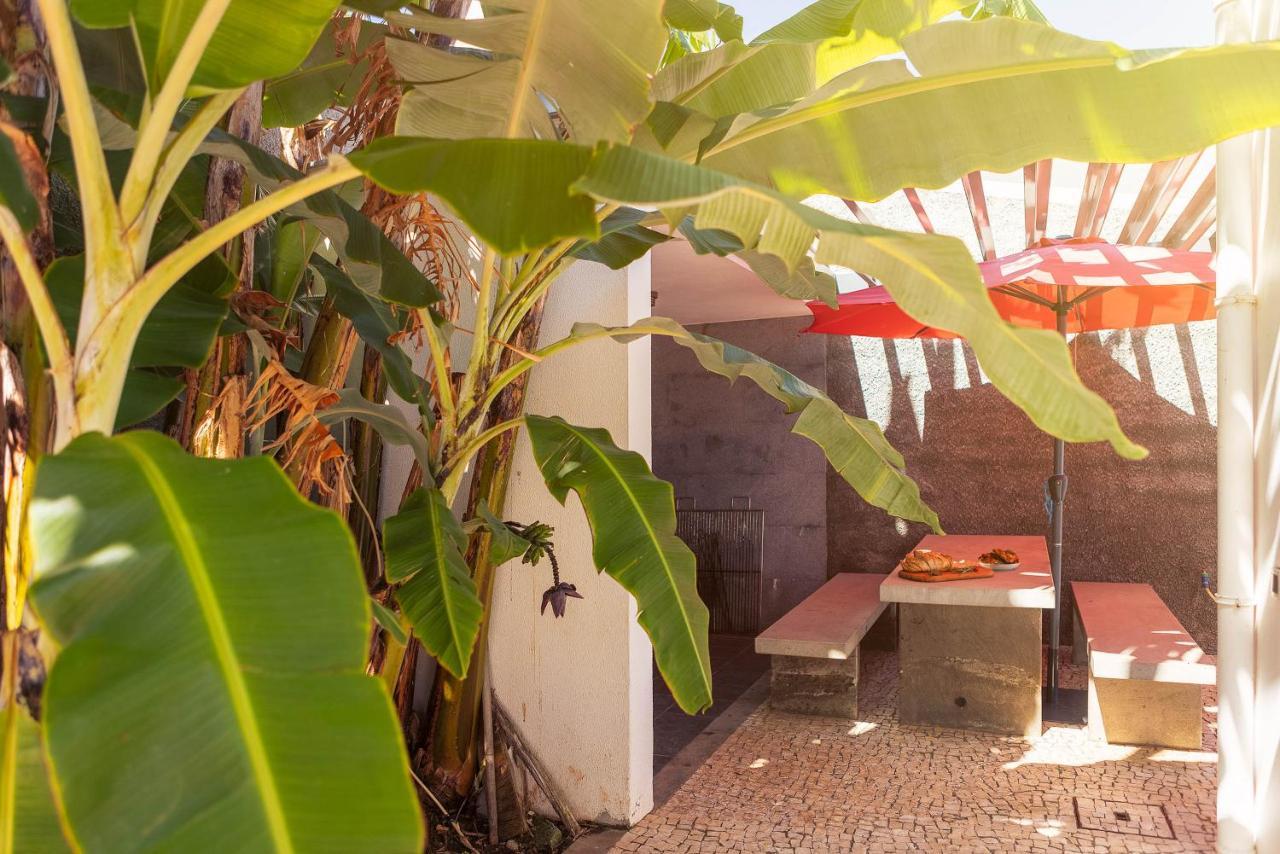 Villa Amplitude Câmara de Lobos المظهر الخارجي الصورة